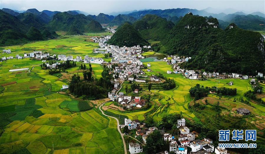 桂西山村秋色美