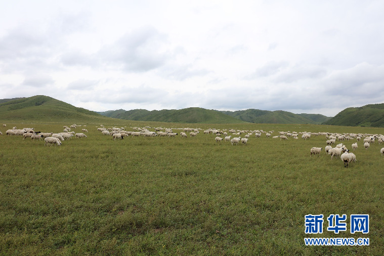 阿鲁科尔沁草原：游牧核心区的保护与传承