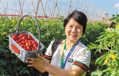 末尾有圖【食品農業圖文列表】【即時快訊】陵水美食搭上電商“快車”