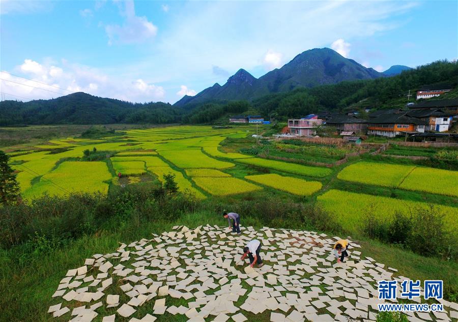 广西龙胜：瑶寨里的古法造纸技艺