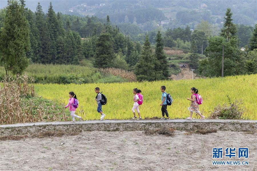 重庆南川：金佛山上的“微小学”