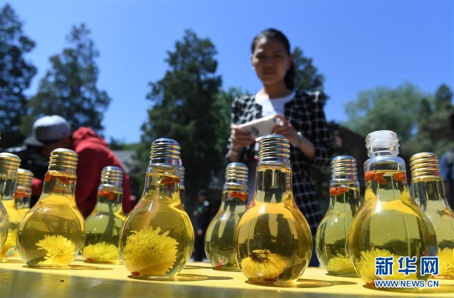 八大处中国园林茶文化节开幕