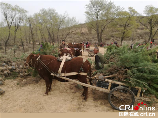 【China News 带图列表＋三秦大地 西安＋原创＋移动列表】榆林佳县生态治理：忆往昔“一片荒漠无炊烟”看今朝“绿树成行满堂春”