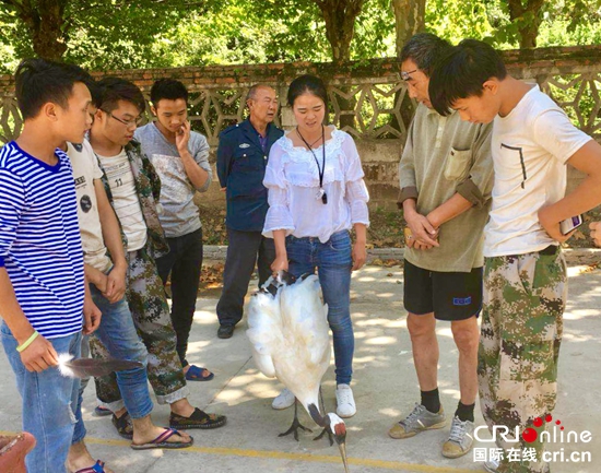贵州森林野生动物园三只“离家”丹顶鹤被寻回