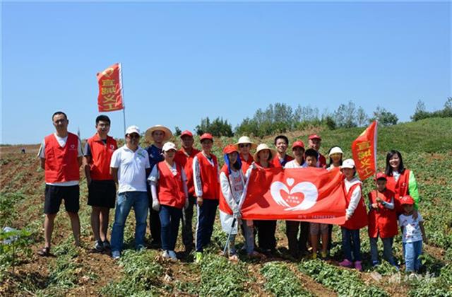 宜城義工幫貧困戶拔花生