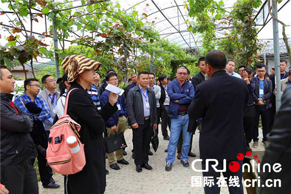 圖片默認標題 圖片默認標題