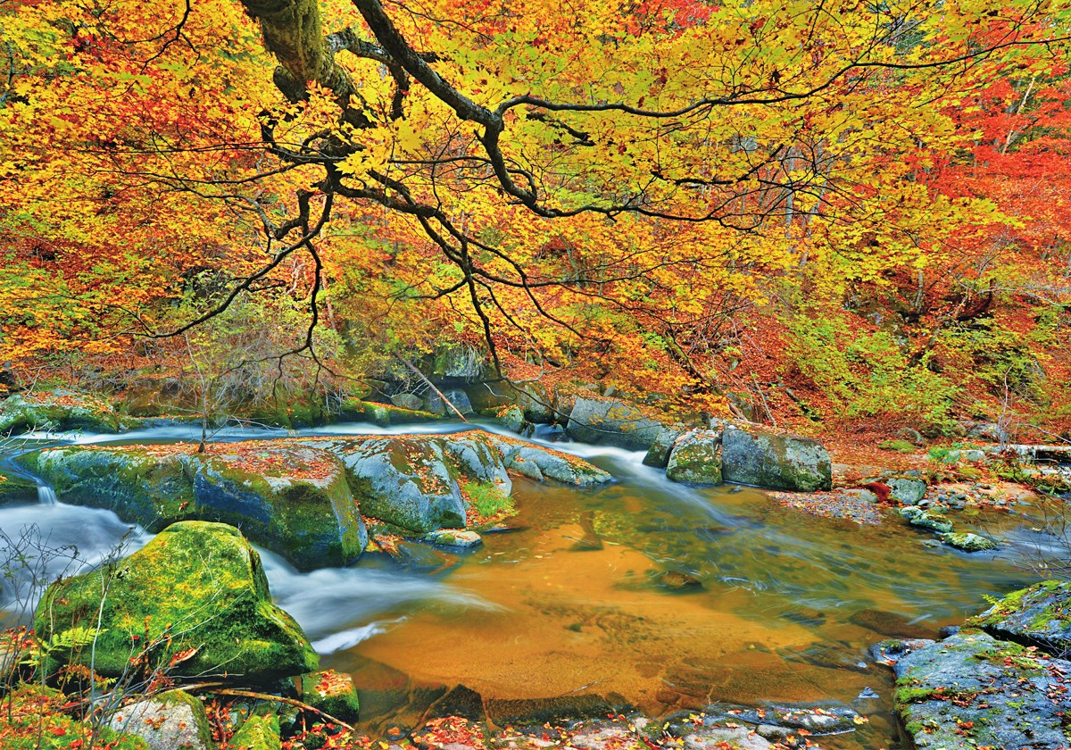 五彩“醉”吉林：“雙節”出遊早知道