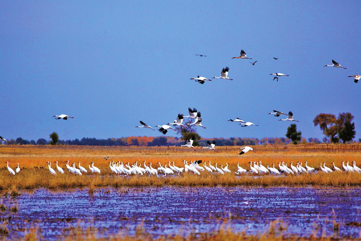 五彩“醉”吉林：“雙節”出遊早知道
