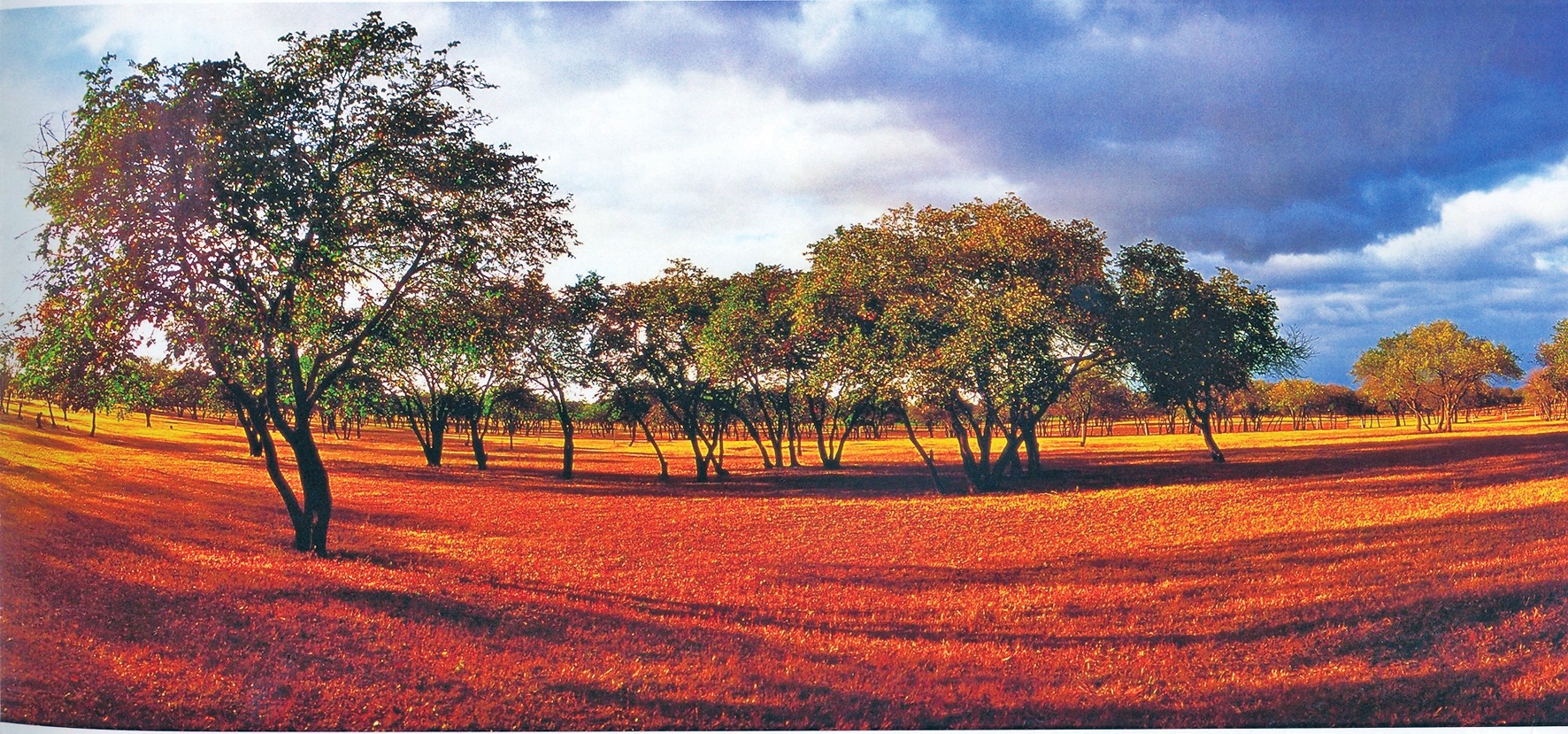 五彩“醉”吉林：“雙節”出遊早知道