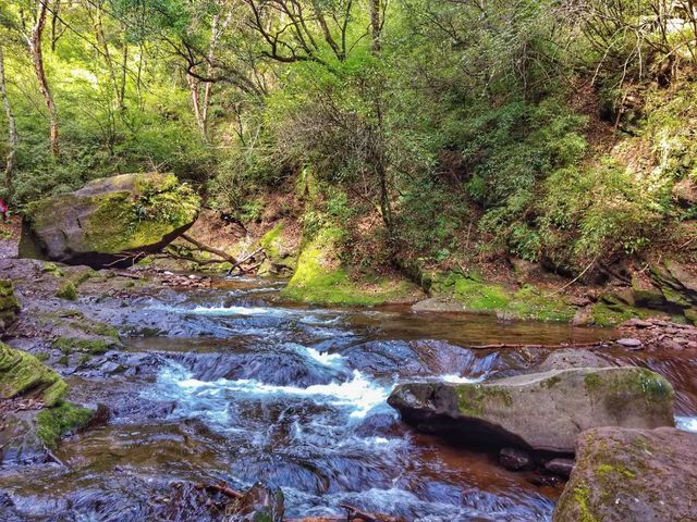 图片默认标题_fororder_2