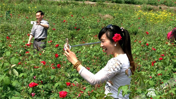 【区县联动】【合川】共享单车方便游客出行 合川小长假揽客13万人次【区县联动】共享单车方便出行 合川五一揽客13万人