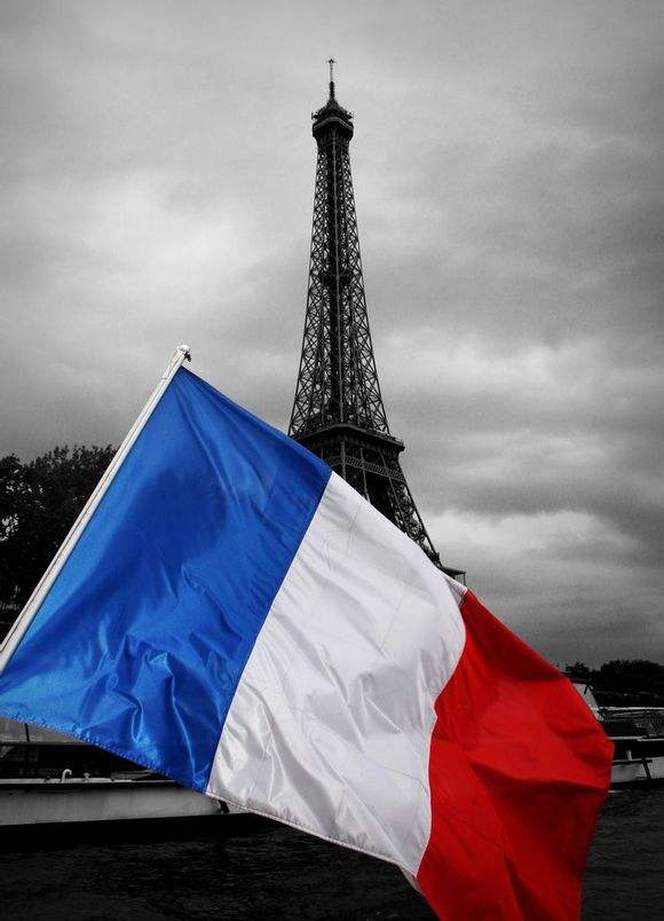 馬克龍説：“我所希望的是一個強大的在歐洲可靠的法國。”