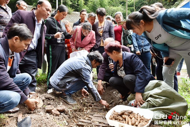 贵州毕节大方培训农民助脱贫