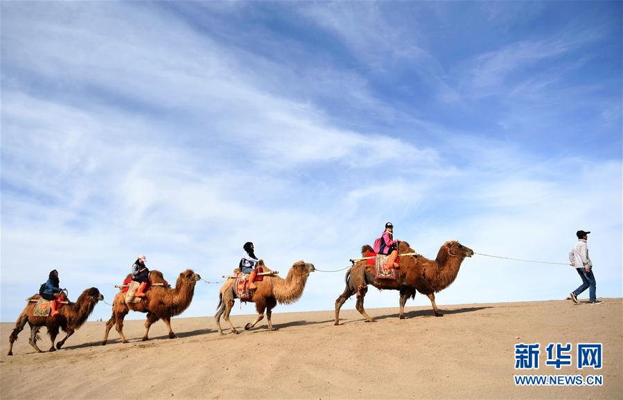一带一路·好风光 敦煌鸣沙山上体验大漠驼队