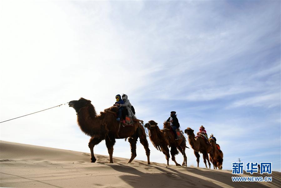 一带一路·好风光 敦煌鸣沙山上体验大漠驼队