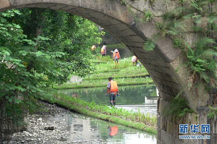 福州：構建內河水系生態修復鏈提升河水自凈能力