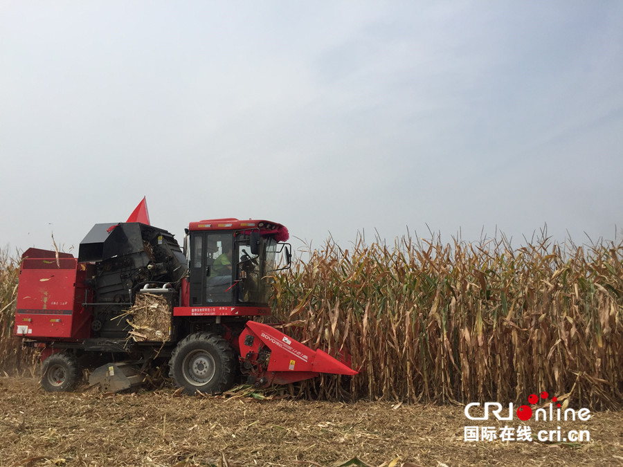 急稿【即時新聞】【移動版】【ChinaNews帶圖列表】【CRI看山西-列表】【焦點圖】託管助推農民豐收 平遙農業再展新貌 急稿【即時新聞】【移動版】【ChinaNews帶圖列表】【CRI看山西-列表】【焦點圖】託管助推農民豐收 平遙農業再展新貌