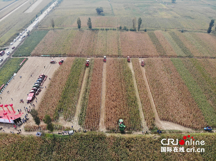 急稿【即時新聞】【移動版】【ChinaNews帶圖列表】【CRI看山西-列表】【焦點圖】託管助推農民豐收 平遙農業再展新貌 急稿【即時新聞】【移動版】【ChinaNews帶圖列表】【CRI看山西-列表】【焦點圖】託管助推農民豐收 平遙農業再展新貌