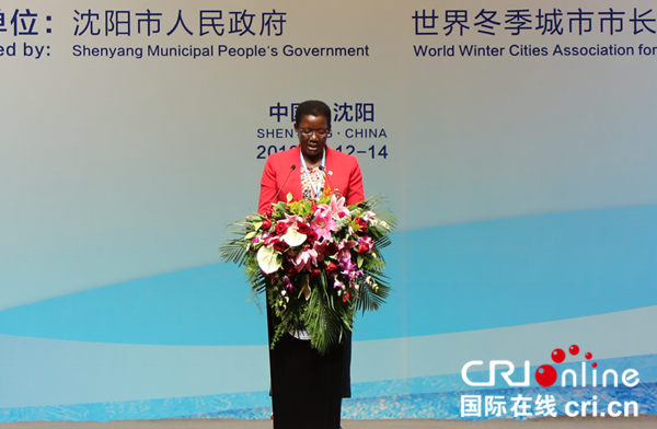 第十八屆世界冬季城市市長會議在瀋陽召開