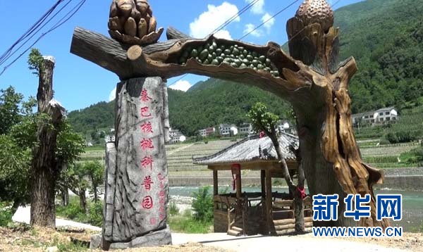 【区县联动】【城口】城口县第二届核桃文化旅游节15日在高观镇开幕【区县联动列表】城口县第二届核桃文化旅游节15日开幕