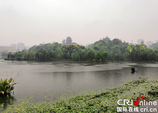 【CRI專稿 列表】全國重點網絡媒體行走進重慶璧山秀湖濕地公園