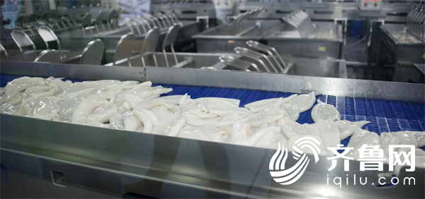 荣成“三条鱼”游出千亿产业集群 游成完整海洋经济产业链