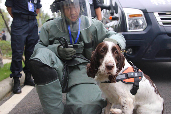 宜宾市公安局搜爆犬"莎莎":服役近十年参与执行任务2000余次