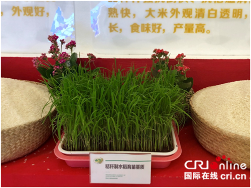 【黑龙江】第六届绿博会开幕 绿色食品“点燃”龙江