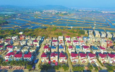 漳浦县佛昙镇东坂村发展立体生态养殖.