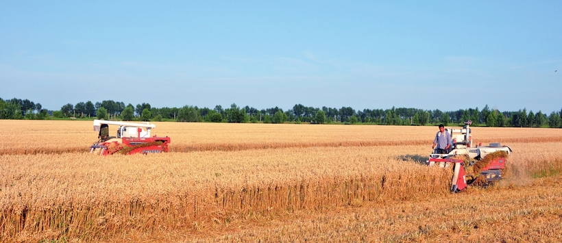 白城：扮靓绿色本底 打造生态地标