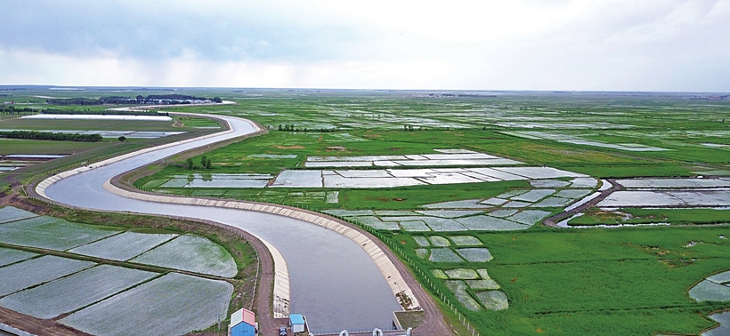 白城：扮靓绿色本底 打造生态地标