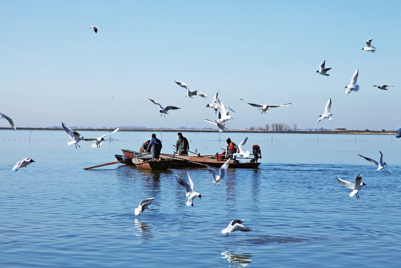 白城：扮靓绿色本底 打造生态地标
