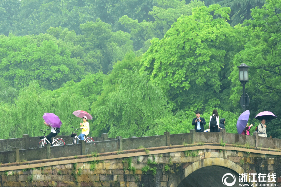 杭城雨轉晴 滿眼初夏景