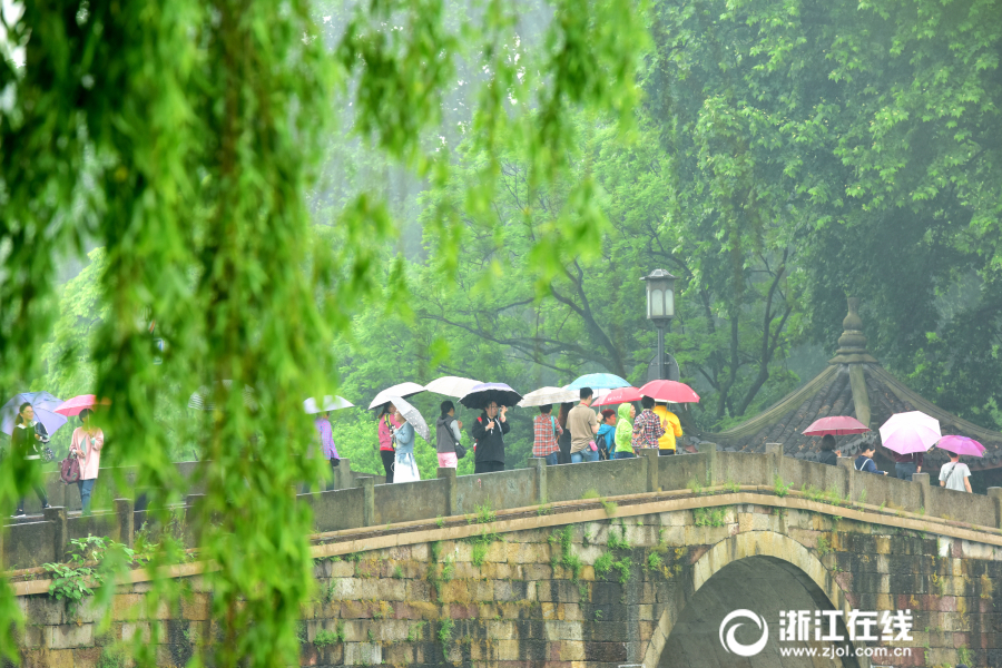 杭城雨轉晴 滿眼初夏景