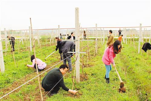 【區縣聯動】【墊江】墊江新民鎮明月村黨支部:因地制宜發展休閒農業【區縣聯動】墊江縣新民鎮:因地制宜發展休閒農業 【區縣聯動】【墊江】墊江新民鎮明月村黨支部:因地制宜發展休閒農業【區縣聯動】墊江縣新民鎮:因地制宜發展休閒農業