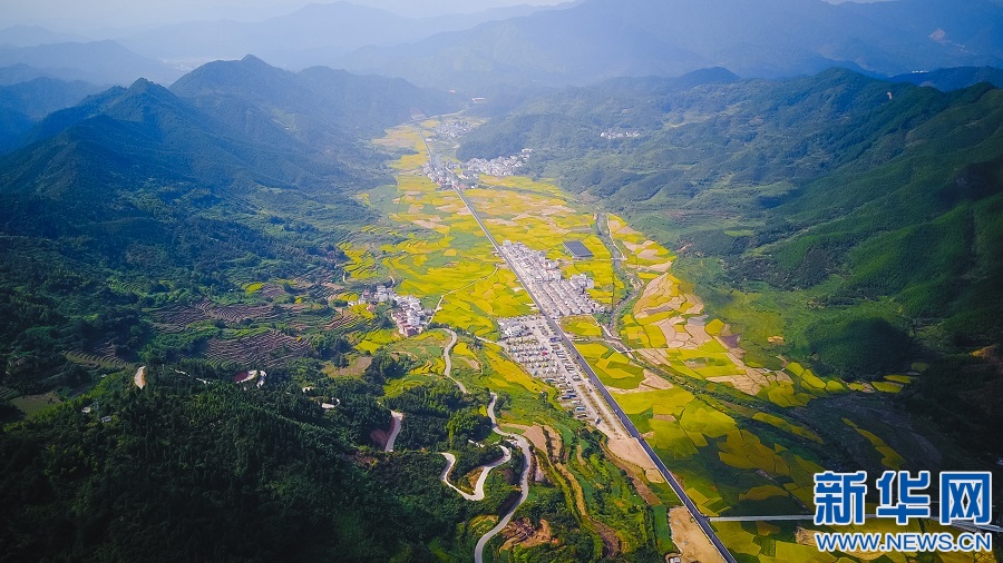 航拍金秋婺源稻田美 晒秋人家丰收忙