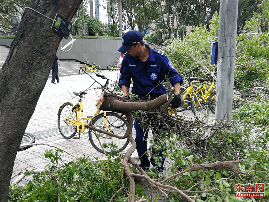 厦门飞鹰救援队抵达深圳 参与“山竹”灾后救援