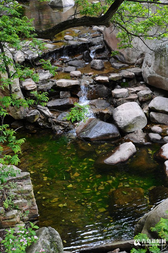 青岛崂山：雨后空气清新 山谷流水潺潺