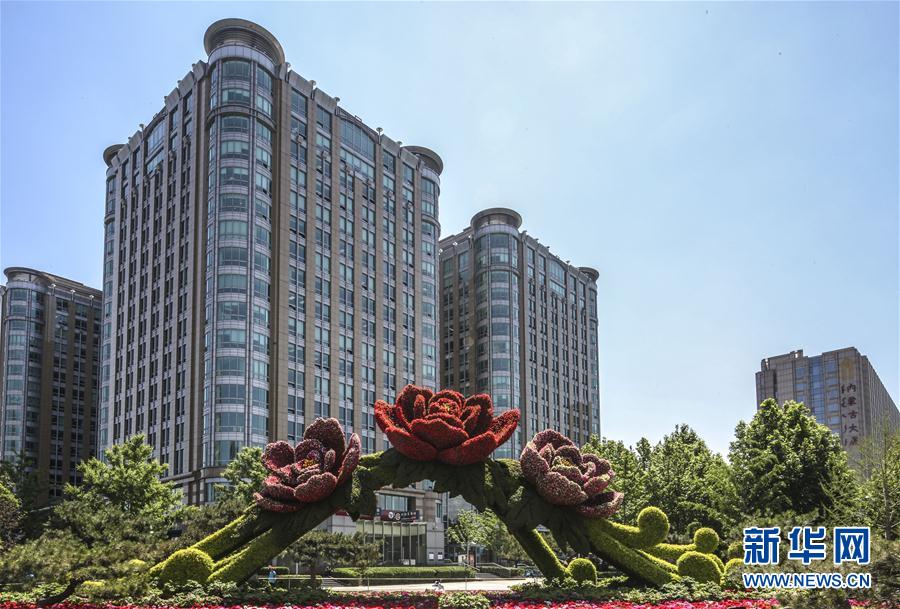 北京新增50多萬平米綠化面積迎“一帶一路”論壇