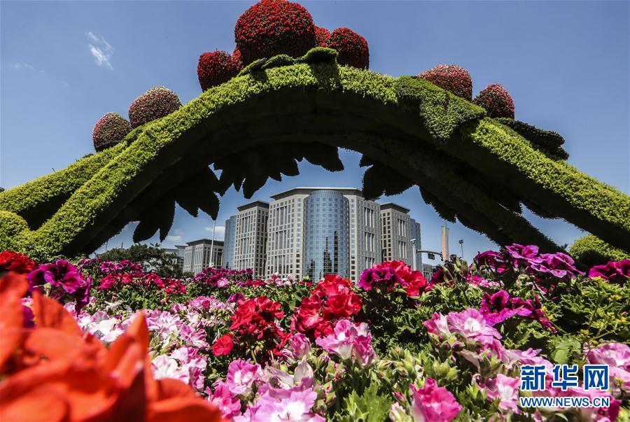 北京新增50多万平米绿化面积迎“一带一路”论坛