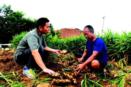 濰坊生産生活秩序基本恢復：排幹水栽上苗 日子有了盼頭