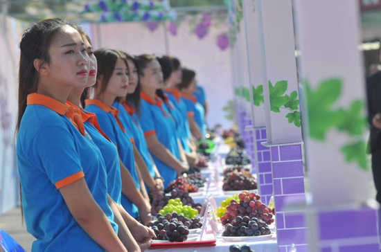 中國北鎮首屆葡萄文化節暨農民豐收節拉開序幕