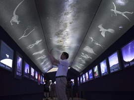 “一带一路”国际星空摄影展在北京开幕