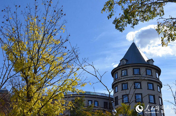 新時代新龍江邁向高品質提升含金量 新時代新龍江邁向高品質提升含金量