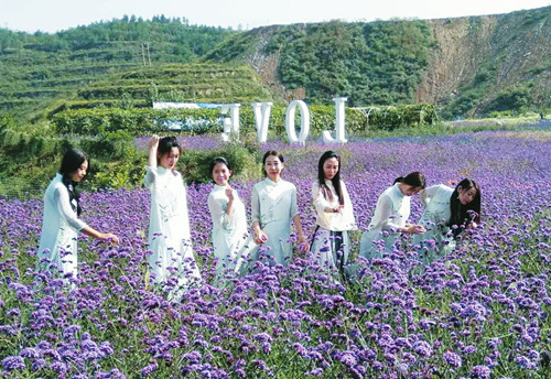 图片默认标题_fororder_593c2a82a7df82ac2256a63a7baec43f_副本