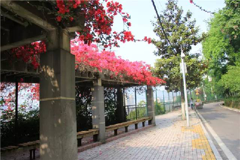 【渝中】迷路重慶森林,漫步"三層"馬路 【渝中】迷路重慶森林,漫步"三層"馬路