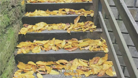 【渝中】迷路重慶森林,漫步"三層"馬路 【渝中】迷路重慶森林,漫步"三層"馬路