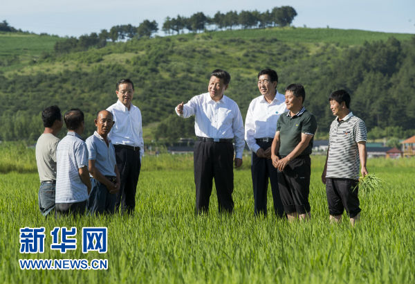 寫在首個“中國農民豐收節”：喜看稻菽千重浪 億萬農民慶豐收