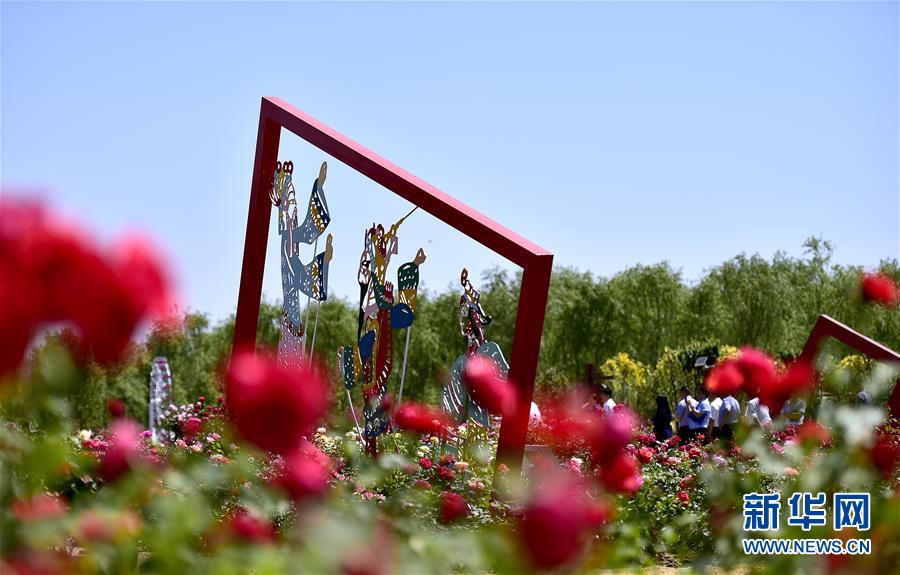 首屆京津冀月季博覽會在天津武清開幕