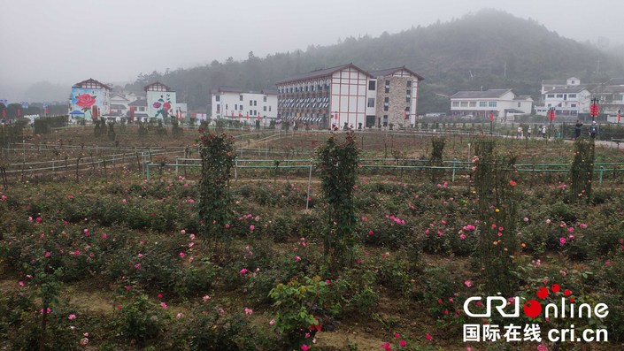 貴州省首屆“中國農民豐收節”在息烽縣啟動